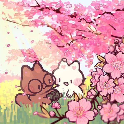 card-img